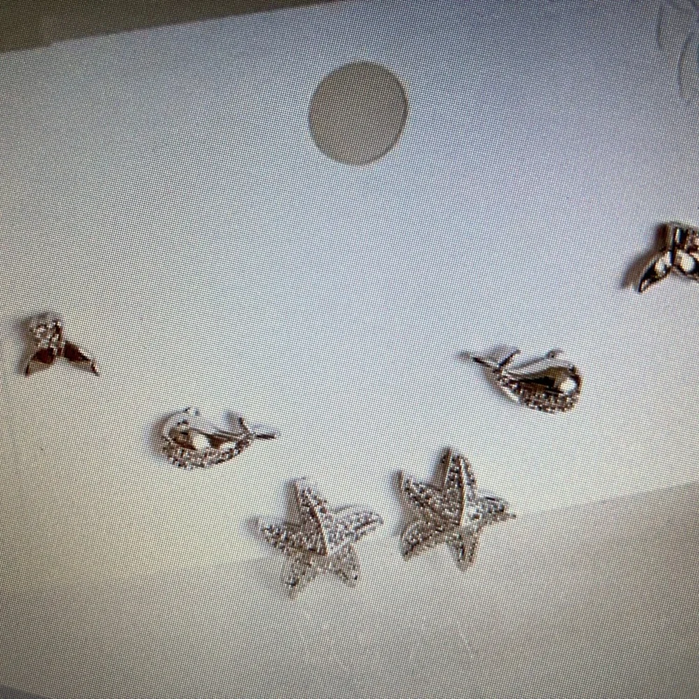 Antian Accessories™ Silver Starfish & Ocean Theme Earring Set (6 Pieces)